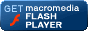 Download Flash Plugin To View Website - Takes Only 60 Seconds !